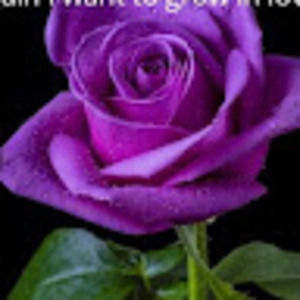 Meet your Posher, Jeannette